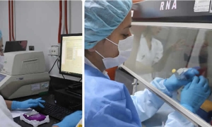 Texto del decreto que adopta medidas y programas de apoyo laboral en medio de la emergencia sanitaria