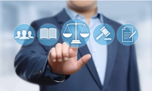 Consejo de Estado acumulará expediente sobre el control inmediato de control de legalidad de acto ANH de atención al público de manera presencial