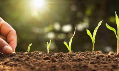 FINAGRO anunció el cierre acceso de mediano productor a la bolsa "LEC sostenibilidad agropecuaria y negocios verdes" y recordó el cierre LEC de reactivación económica por afectación del paro nacional 2021
