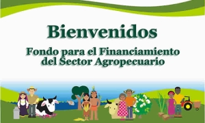 FINAGRO socializó modificaciones del Reglamento Operativo del Fondo Agropecuario de Garantías, aplicable a las operaciones realizadas en la BMC