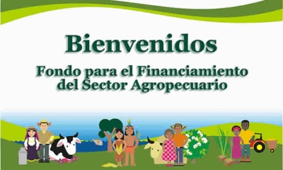 FINAGRO socializó modificaciones del Reglamento Operativo del Fondo Agropecuario de Garantías, aplicable a las operaciones realizadas en la BMC