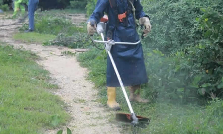 SSPD se pronuncia sobre la aplicación de exención de IVA para la poda de césped como actividad complementaria del servicio público de aseo