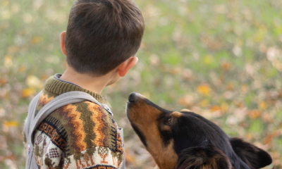 Gobierno reglamenta actividades taurinas con nuevas restricciones para proteger a los menores de edad y el bienestar animal