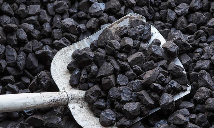 Proyecto de norma de MinAmbiente busca implementar la operación de la Comisión de Estudio para la Promoción y Desarrollo de los Mercados de Carbono en Colombia