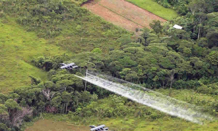 MinMinas, con apoyo de Visión Amazonía, abrió dos nuevas plantas de producción sostenible en el Guaviare