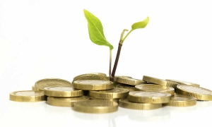 Modificadas disposiciones sobre la reglamentación del destino del crédito agropecuario y rural