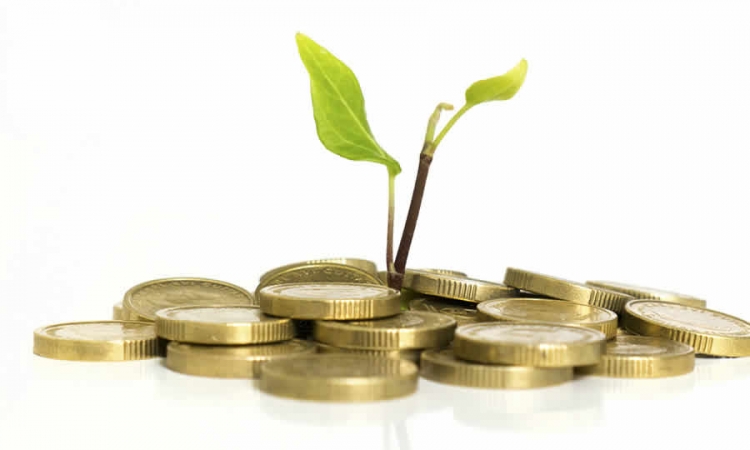 Modificadas disposiciones sobre la reglamentación del destino del crédito agropecuario y rural