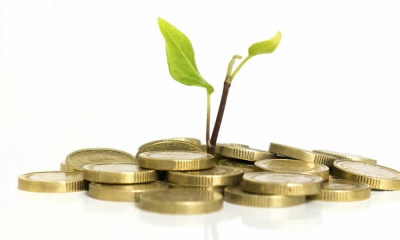 Modificadas disposiciones sobre la reglamentación del destino del crédito agropecuario y rural