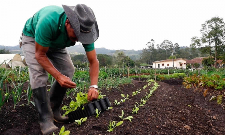 MinAgricultura fijó el valor de las tarifas el servicio público de adecuación de tierras para la vigencia 2020, de los Distritos de Repelón, Santa Lucía y Manatí, Atlántico