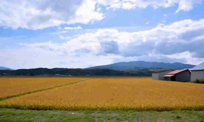 Secretaría Distrital de Planeación confirmó que no existe una definición de la extensión mínima de la Unidad Agrícola Familiar, para los predios ubicados en suelo rural del Distrito Capital