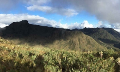 ANLA: Se han aprobado más de 326.000 millones y 32.000 hectáreas destinadas a la biodiversidad