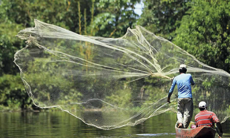 Los productores pesqueros y agropecuarios, por regla general, son clasificados como usuarios industriales: SSPD