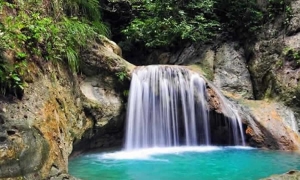 Consejo de estado niega pretensiones de demanda para la suspensión de los lineamientos para demarcar la faja forestal protectora de los nacimientos y corrientes de agua localizados en suelos rurales de la jurisdicción de CORPOCALDAS