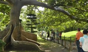 SDA realiza una delegación para la Comisión para el Goce de un Ambiente Sano y la Salubridad Pública