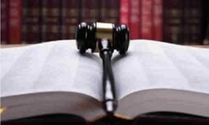 Texto de la sentencia de la Corte que hizo precisiones conceptuales sobre los fundamentos de los derechos de los partidos y movimientos de oposición