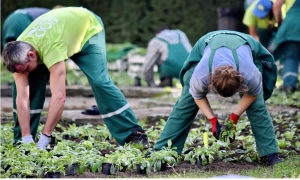 ICA estableció requisitos para el registro de viveros básicos dedicados a la producción y comercialización de material vegetal de propagación para la siembra en el país