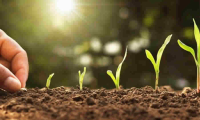 Radicado proyecto de ley que dicta disposiciones para la recuperación de suelos con vocación de uso agrícola