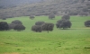 MinAmbiente propone crear comisión intersectorial para implementar el Acuerdo de Escazú en Colombia