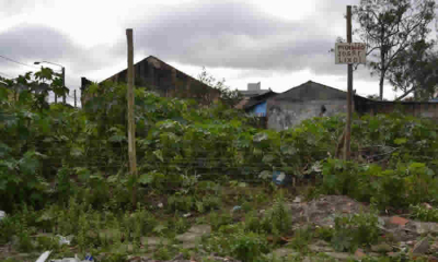 Pronunciamiento de la ANM frente a la recuperación de minas y baldíos ilegalmente ocupados