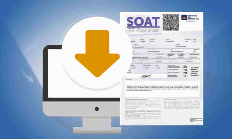Ministerio de Transporte precisó no haber elaborado diagnósticos específicos sobre la evasión del SOAT ni de la Revisión Técnico-Mecánica (RTM)