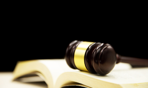 Limitar la constitución del patrimonio familiar exclusivamente a favor de familias compuestas por parejas heterosexuales, es inconstitucional