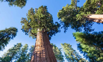 MinAmbiente actualizó procedimiento para elegir miembros de Entidades Sin Ánimo de Lucro en las CAR