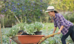 Texto del decreto de MinAgricultura que fortalece el acceso a la propiedad de la tierra para las mujeres rurales