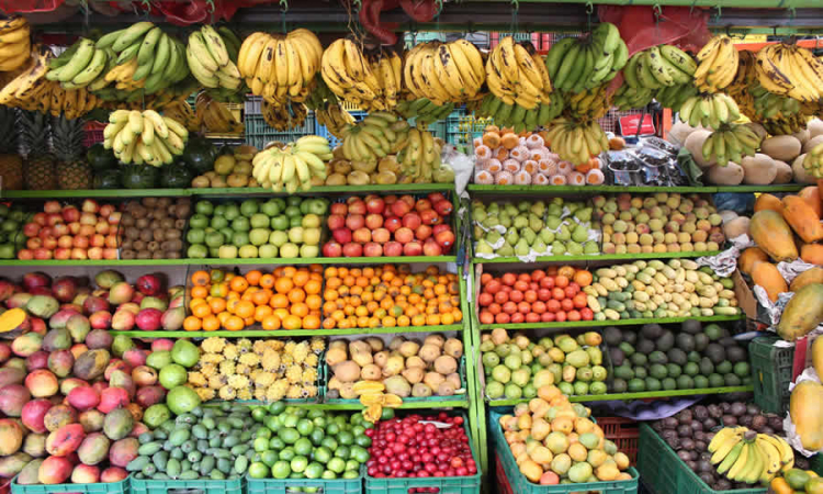 Adoptado Manual Operativo de Proyecto Alianzas Productivas del Ministerio de Agricultura