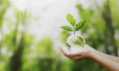 Análisis jurisprudencial del Ministerio de Ambiente sobre el silencio administrativo positivo en asuntos ambientales