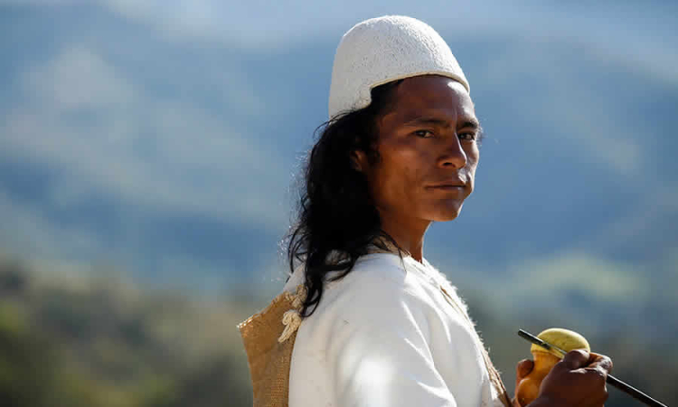 Gobierno adicionó un capítulo de un acto administrativo de la DIAN referente a la salida de mercancías en el tráfico fronterizo por parte de las comunidades indígenas Wayuu