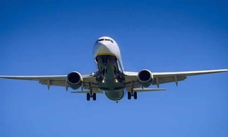 Proyecto de norma establece medidas para garantizar trazabilidad y seguridad en la producción e importación de combustibles de aviación semisintéticos elaborados con materias primas renovables que reducen emisiones de gases de efecto invernadero