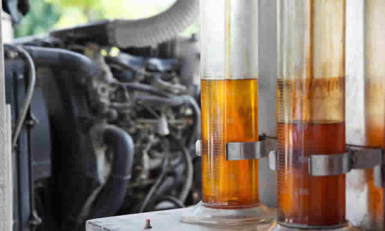 Dirigido a los agentes distribuidores mayoristas y minoristas de combustibles líquidos, MinMinas les recuerda la importancia de presentar solicitudes ante la Dirección de Hidrocarburos de la Entidad