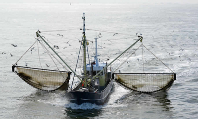 Proyecto de decreto busca reglamentar el reconocimiento y formalización de los Ecosistemas Acuáticos Agroalimentarios (EAA), como territorialidad campesina y de pesca artesanal