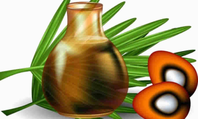 Proyecto de norma de MinAgricultura busca modificar la composición del Comité Directivo del Fondo de Estabilización de Precios para el Palmiste, el Aceite de Palma y sus fracciones