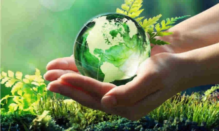 MinAmbiente propone crear reserva “Corazón del Mundo” en la Sierra Nevada para proteger 1,5 millones de hectáreas