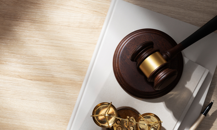 Texto del fallo de la Corte que declaró inexequibles expresiones que imponían nulidad automática de actuaciones judiciales; aunque estas normas buscaban agilizar el acceso a la tierra, vulneraban el debido proceso y acceso a la justicia