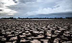 Proyecto de norma de MinAgricultura busca crear un programa especial de dotación de tierras a favor de población campesina para la producción de alimentos