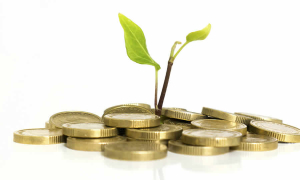 Proyecto de ley busca fortalecer el Sistema Nacional de Crédito Agropecuario