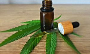 MinComercio propone reglamentar el apoyo, la comercialización y la trazabilidad del cannabis medicinal