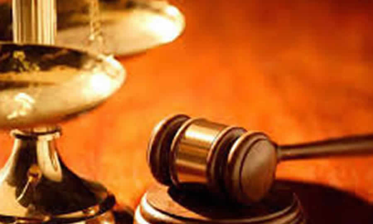 Consejo de Estado determinó que no quedó debidamente probado que el Banco AVVillas haya presentado adhesivos anulados no reportados en forma oportuna para la vigencia 2016, en el recaudo de impuestos del D.C.