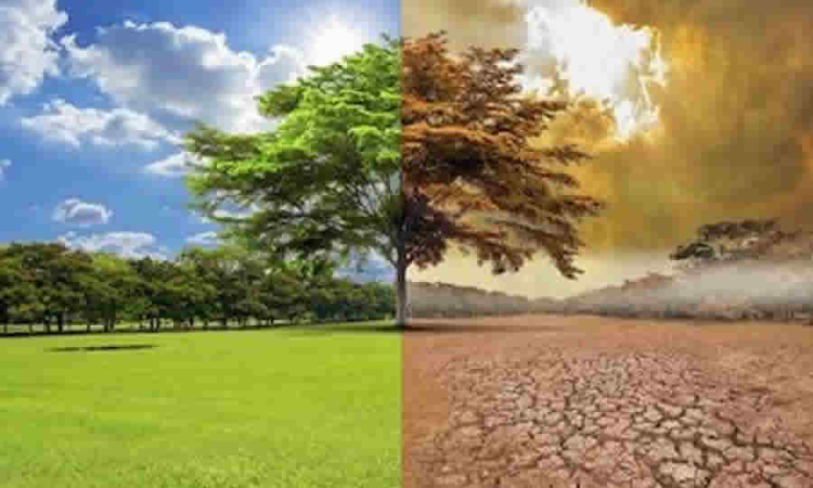 A través de proyecto de decreto el ministerio de Ambiente busca crear una nueva sección relacionada con la reglamentación del Registro Nacional de Zonas Deforestadas