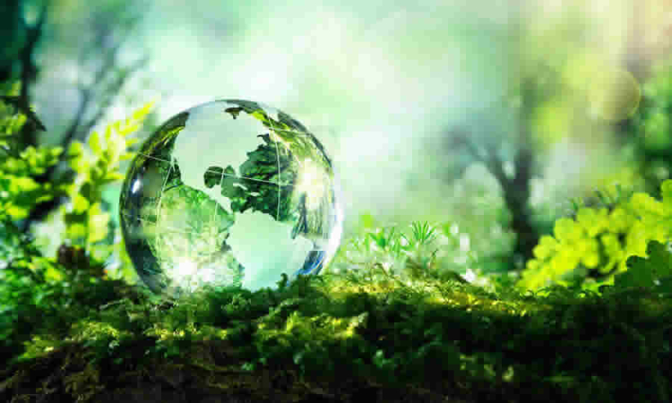 MinVivienda propone nueva categoría ambiental y social para focalizar subsidios de vivienda rural