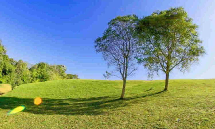 SDA consideró inviable jurídicamente el Proyecto de Acuerdo que pretende promover y fortalecer soluciones de adaptación urbana basadas en la naturaleza por falta de novedades normativas