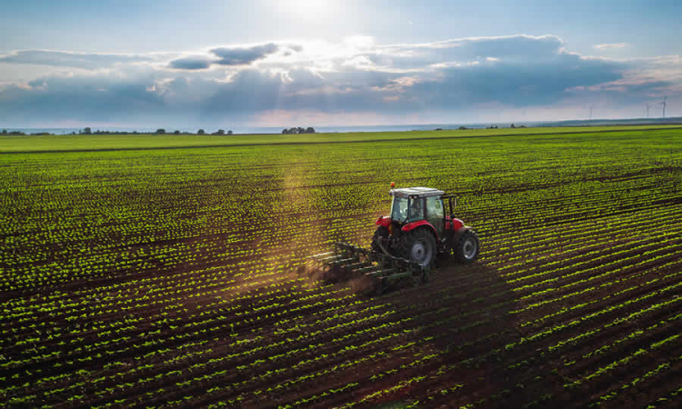 MinAgricultura reglamentó las materias técnicas del Sistema Nacional de Innovación Agropecuaria