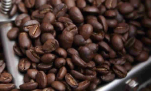 Nueva ley cafetera fomenta consumo interno y apoya producción con enfoque territorial y sostenible