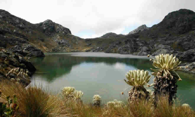 MinAmbiente aclara criterios normativos aplicables a la protección de ecosistemas de páramo