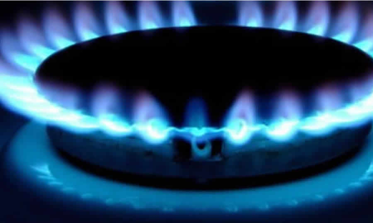 SSPD respondió una serie de preguntas relativas a la conexión del servicio de gas y al plazo para realizar la conexión