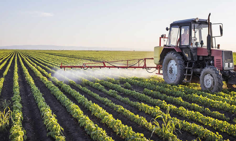 Ministerio de Agricultura ajustó metodología de frontera agrícola para visibilizar y proteger ecosistemas estratégicos