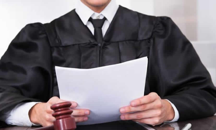 Texto de la sentencia del Tribunal Superior del Distrito Judicial de Bogotá que negó la tutela promovida por Grupo Nutresa contra la SuperSociedades, en la Delegatura de Procedimientos Mercantiles