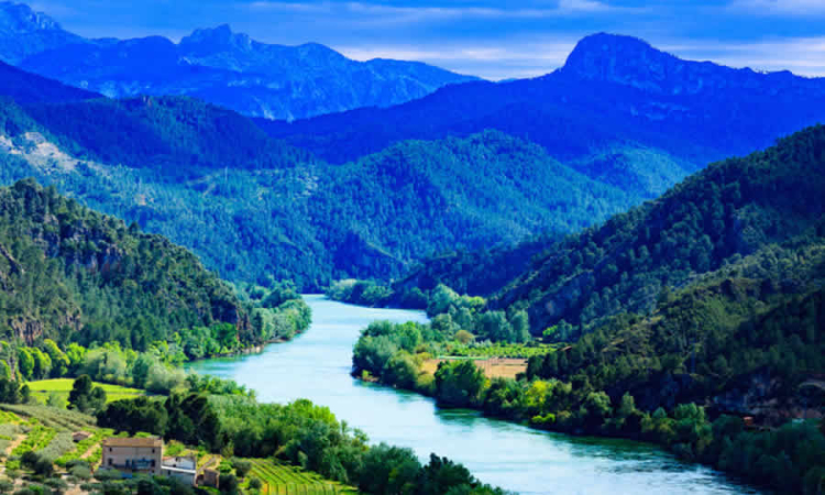 La CAR lanza proyecto de norma que establece metas de carga contaminante para la cuenca del Río Bogotá entre 2025 y 2029 con el fin de proteger el medio ambiente